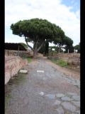 04998 ostia - regio i - insula xix - aula dei mensores (i,xix,3) - blick ri osten.jpg